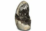 Free-Standing, Polished Septarian Geode - Black Crystals #302874-1